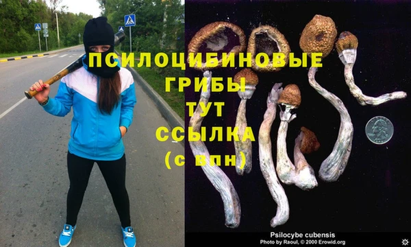 мдма Нефтекумск