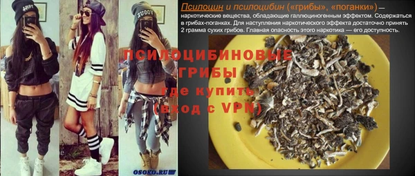 ешки Нефтегорск