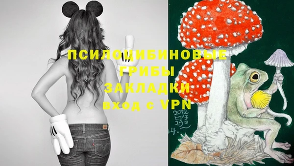 ешки Нефтегорск